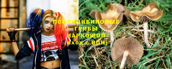 дурь Белокуриха