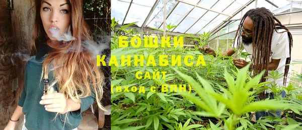 марки lsd Бородино